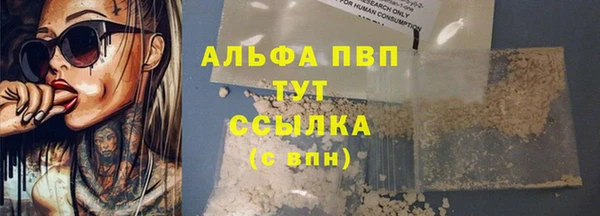 спиды Дмитров