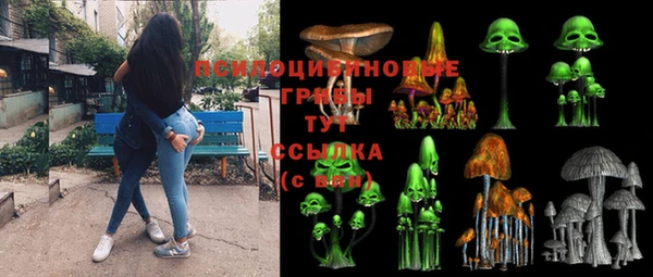бошки Дмитровск