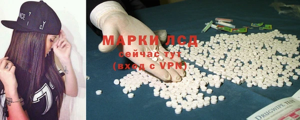 сатива Елизово