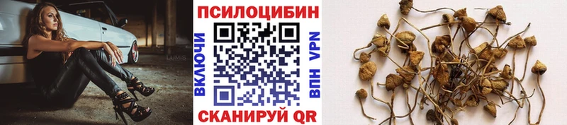 Галлюциногенные грибы Cubensis  Купить где  Закаменск 